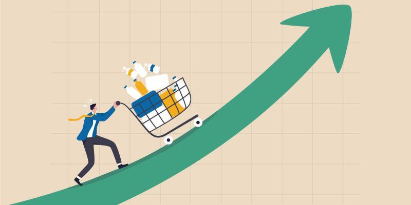 Personal Finance Optimization with a Lower Income